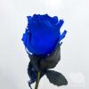 Синие розы поштучно