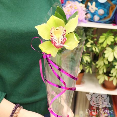 Мини-букет из 1 орхидеи