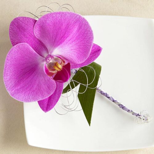 Бутоньерка из орхидеи