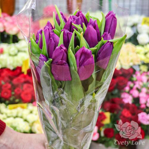 Букет из 17 фиолетовых тюльпанов