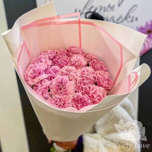 Букет из 19 розовых диантусов